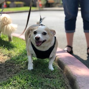 Meet your Posher, Kelsie